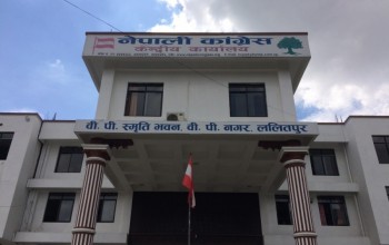 काठमाडौंका ७ नगरमा कांग्रेसका क–कसले जिते ? (विवरणसहित) 